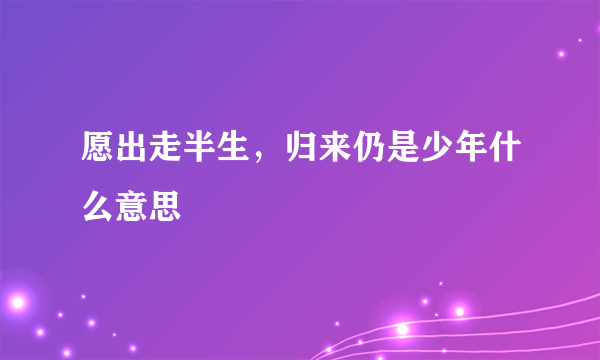 愿出走半生，归来仍是少年什么意思