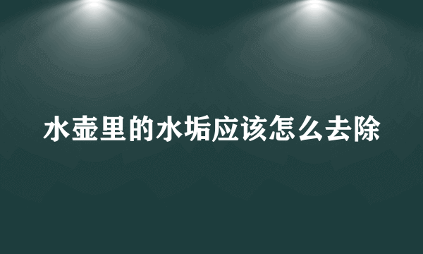 水壶里的水垢应该怎么去除