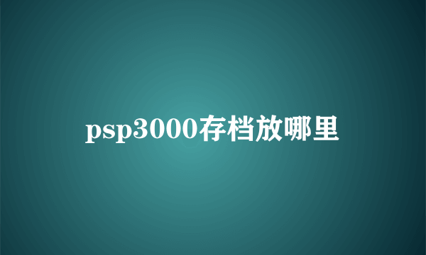 psp3000存档放哪里