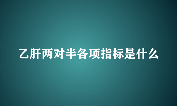 乙肝两对半各项指标是什么