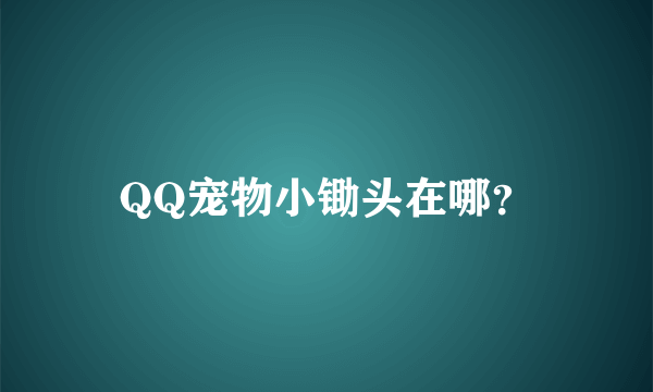 QQ宠物小锄头在哪？