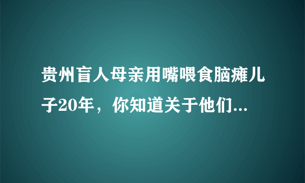 贵州盲人母亲用嘴喂食脑瘫儿子20年，你知道关于他们的故事吗？