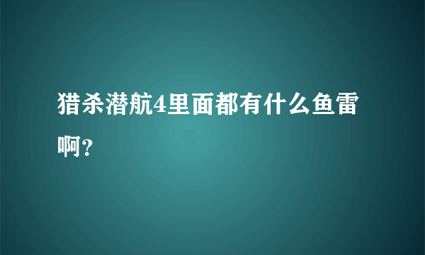 猎杀潜航4里面都有什么鱼雷啊？