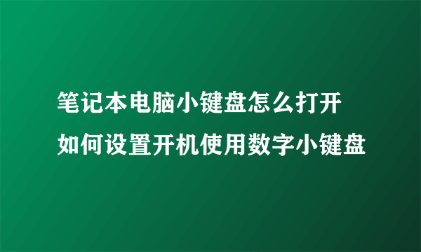 笔记本电脑小键盘怎么打开 如何设置开机使用数字小键盘