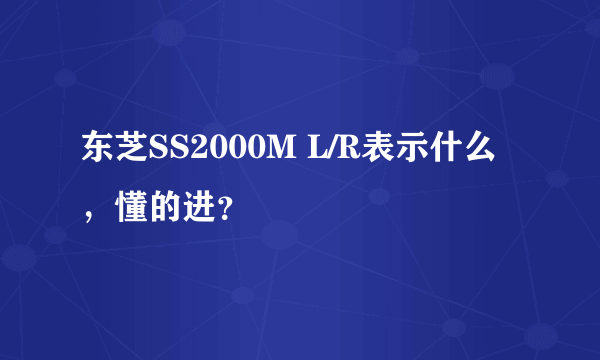 东芝SS2000M L/R表示什么，懂的进？