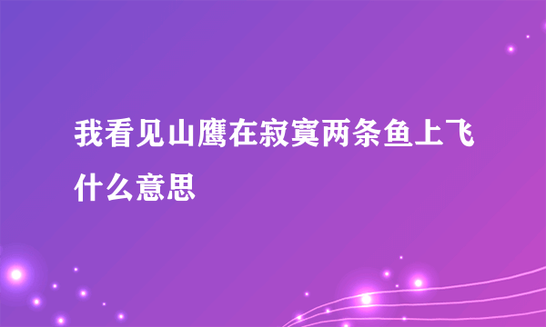 我看见山鹰在寂寞两条鱼上飞什么意思