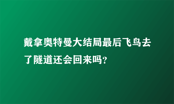 戴拿奥特曼大结局最后飞鸟去了隧道还会回来吗？