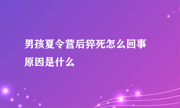 男孩夏令营后猝死怎么回事 原因是什么