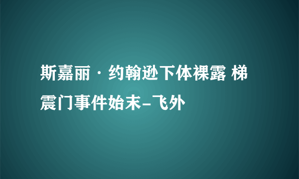 斯嘉丽·约翰逊下体裸露 梯震门事件始末-飞外