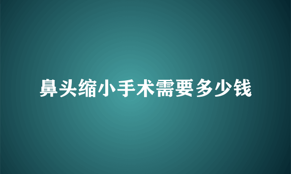 鼻头缩小手术需要多少钱