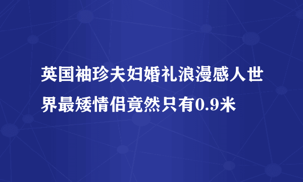 英国袖珍夫妇婚礼浪漫感人世界最矮情侣竟然只有0.9米