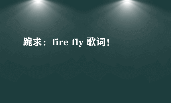 跪求：fire fly 歌词！