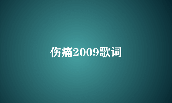 伤痛2009歌词