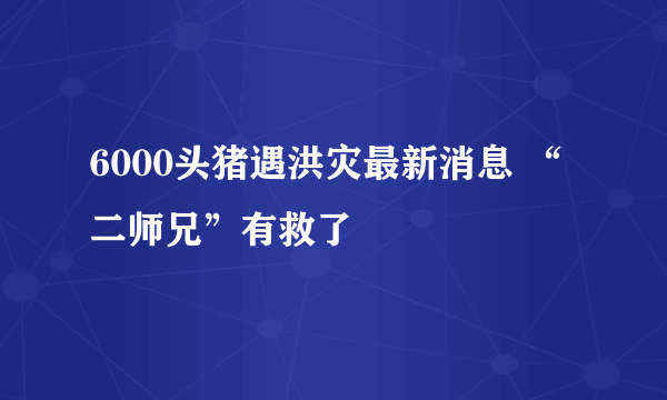 6000头猪遇洪灾最新消息 “二师兄”有救了