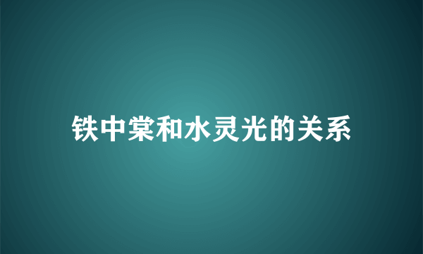 铁中棠和水灵光的关系