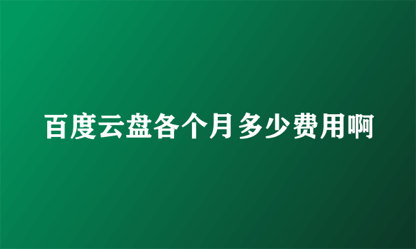 百度云盘各个月多少费用啊