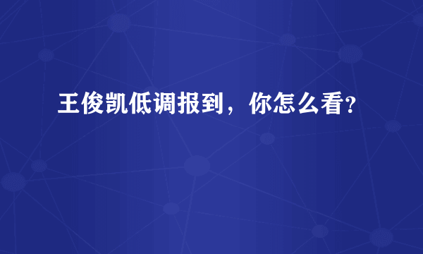 王俊凯低调报到，你怎么看？