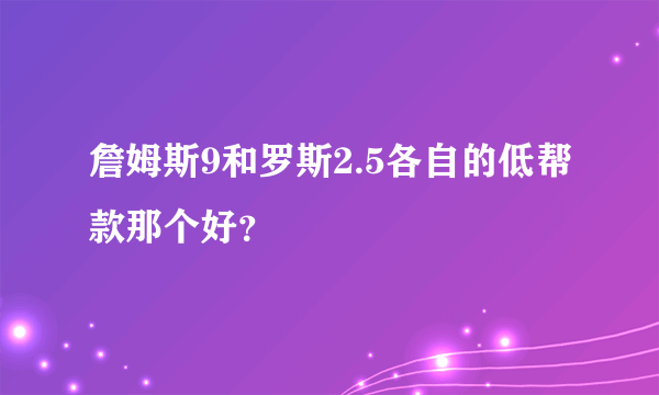 詹姆斯9和罗斯2.5各自的低帮款那个好？