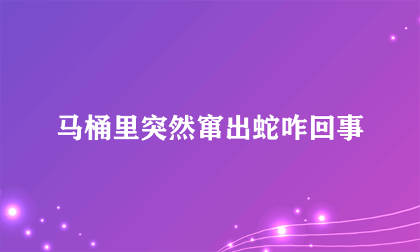 马桶里突然窜出蛇咋回事