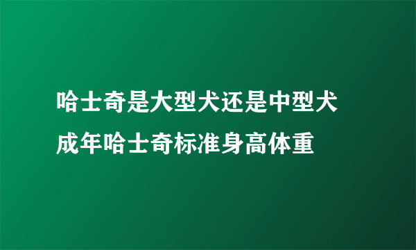 哈士奇是大型犬还是中型犬 成年哈士奇标准身高体重