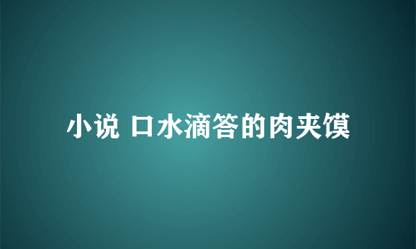 小说 口水滴答的肉夹馍