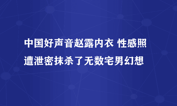 中国好声音赵露内衣 性感照遭泄密抹杀了无数宅男幻想