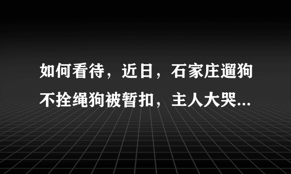 如何看待，近日，石家庄遛狗不拴绳狗被暂扣，主人大哭这种行为？