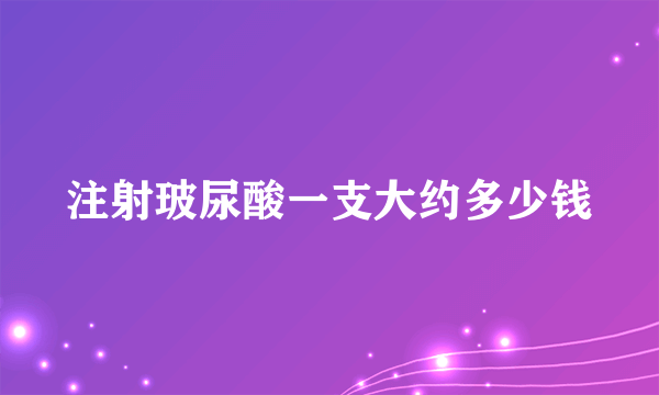 注射玻尿酸一支大约多少钱