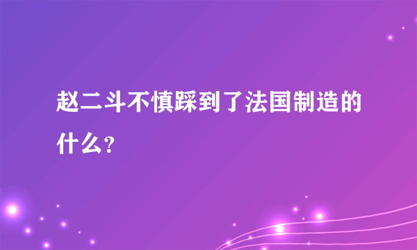 赵二斗不慎踩到了法国制造的什么？