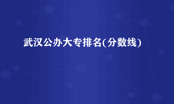 武汉公办大专排名(分数线)