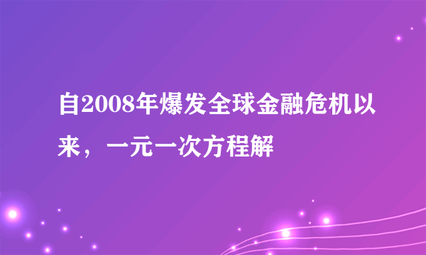 自2008年爆发全球金融危机以来，一元一次方程解