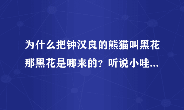 为什么把钟汉良的熊猫叫黑花那黑花是哪来的？听说小哇上哪儿都会带上她？