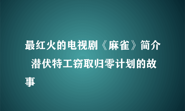 最红火的电视剧《麻雀》简介  潜伏特工窃取归零计划的故事