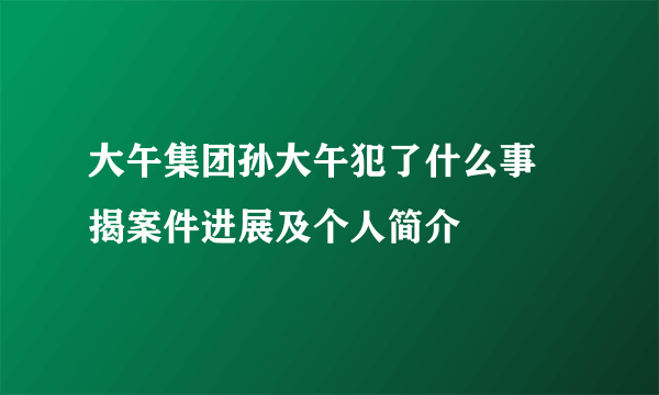 大午集团孙大午犯了什么事 揭案件进展及个人简介