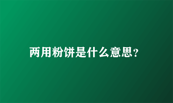 两用粉饼是什么意思？