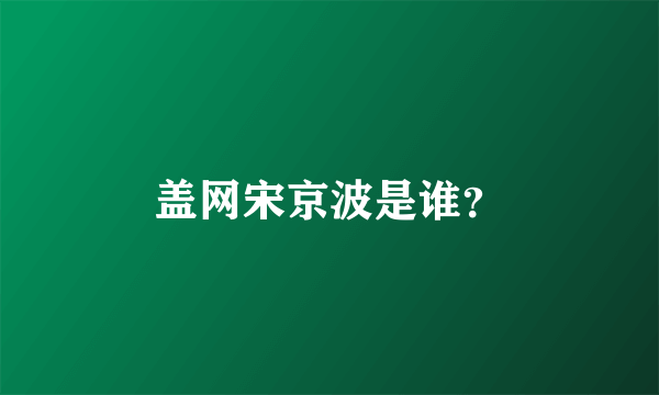 盖网宋京波是谁？