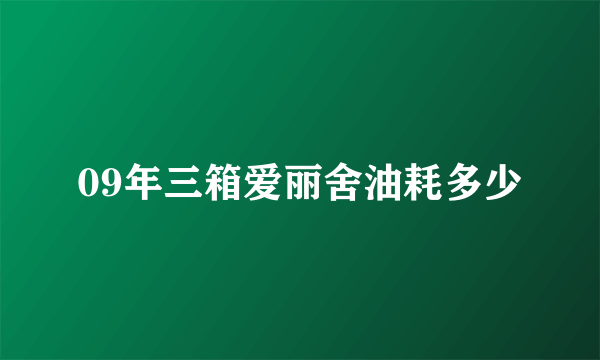 09年三箱爱丽舍油耗多少