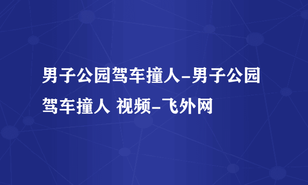 男子公园驾车撞人-男子公园驾车撞人 视频-飞外网