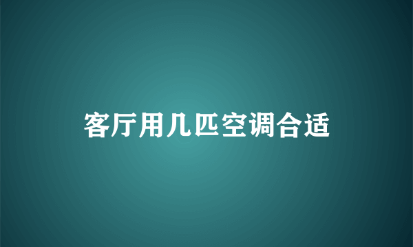 客厅用几匹空调合适