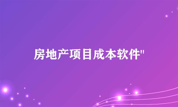 房地产项目成本软件