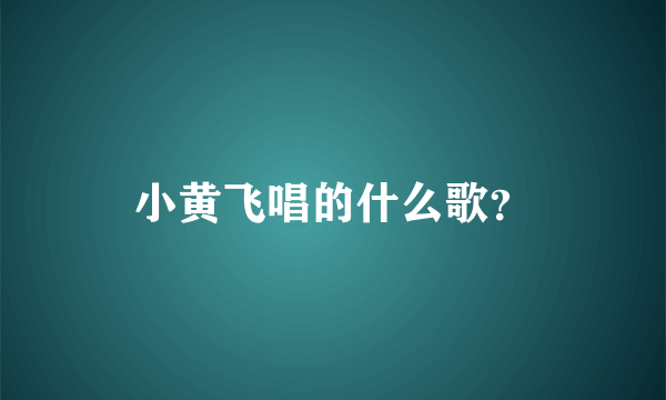 小黄飞唱的什么歌？