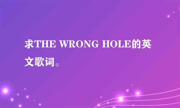 求THE WRONG HOLE的英文歌词。