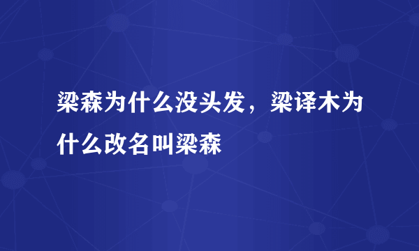 梁森为什么没头发，梁译木为什么改名叫梁森