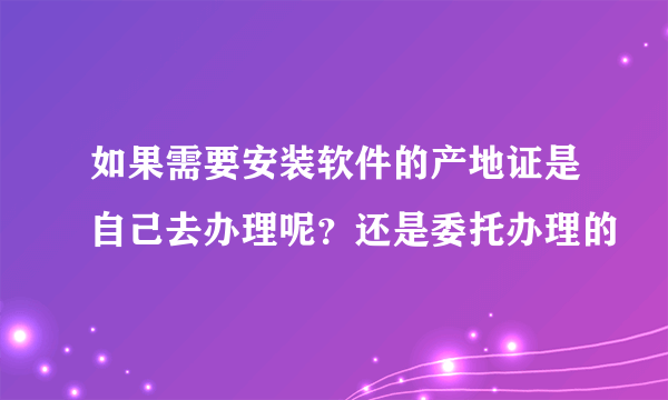 如果需要安装软件的产地证是自己去办理呢？还是委托办理的