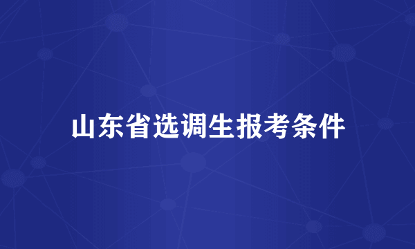 山东省选调生报考条件