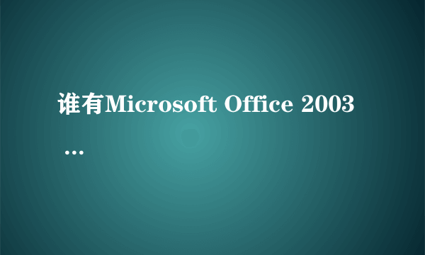 谁有Microsoft Office 2003  professional安装序列号?谢谢!