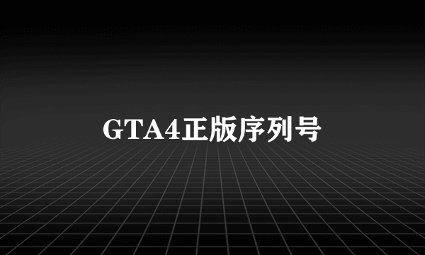 GTA4正版序列号