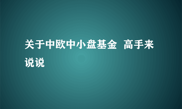 关于中欧中小盘基金  高手来说说