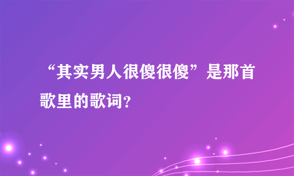 “其实男人很傻很傻”是那首歌里的歌词？