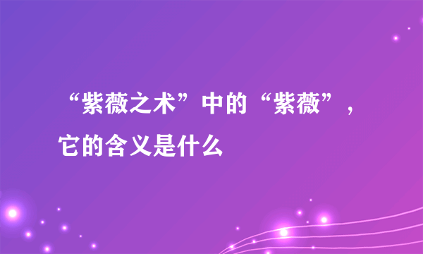 “紫薇之术”中的“紫薇”，它的含义是什么